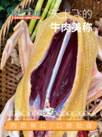 image-20240830085447-2