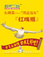 image-20240830085507-6
