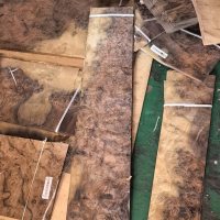黑胡桃树榴木皮批发价格15元-5-