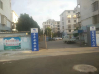 图片8