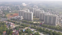 图片13