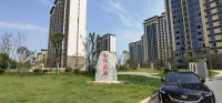 图片15