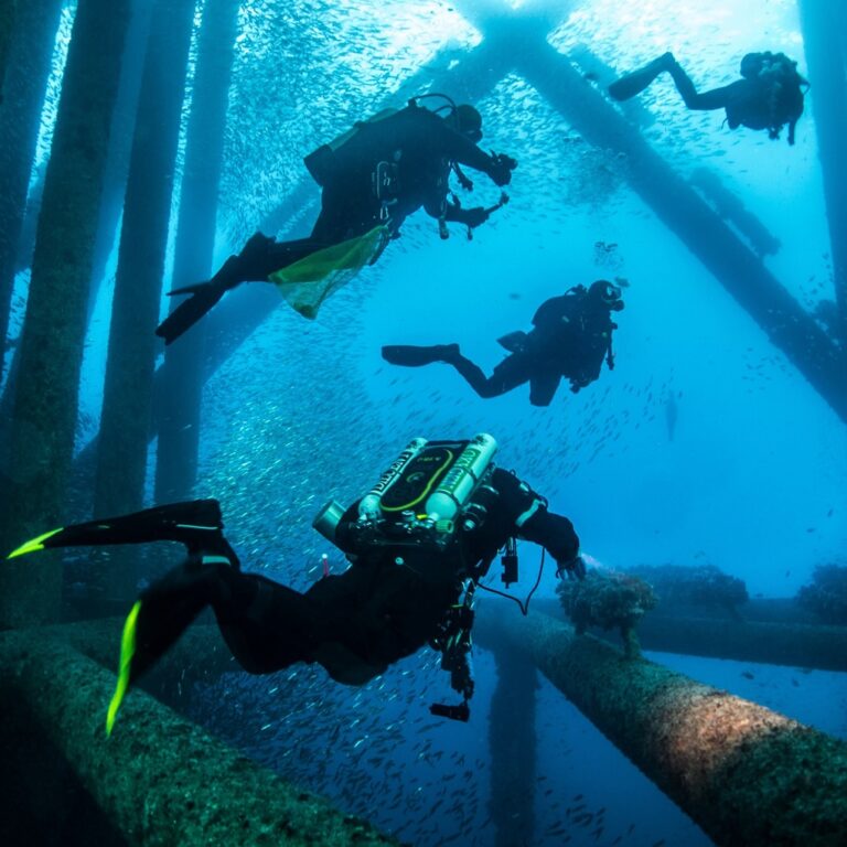 dive-2023-2-768x768