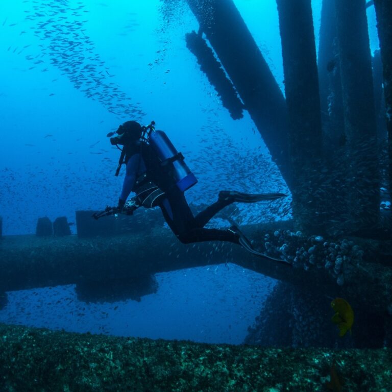 dive-2023-3-768x768
