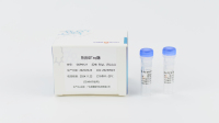 热启动taqDNA