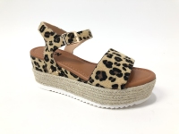 230484LEOPARD