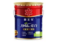 乳胶漆铁桶效果图净味亮白1
