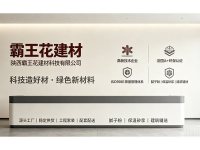 案例展示-4-
