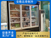 立式冷冻三门牛肉展示柜