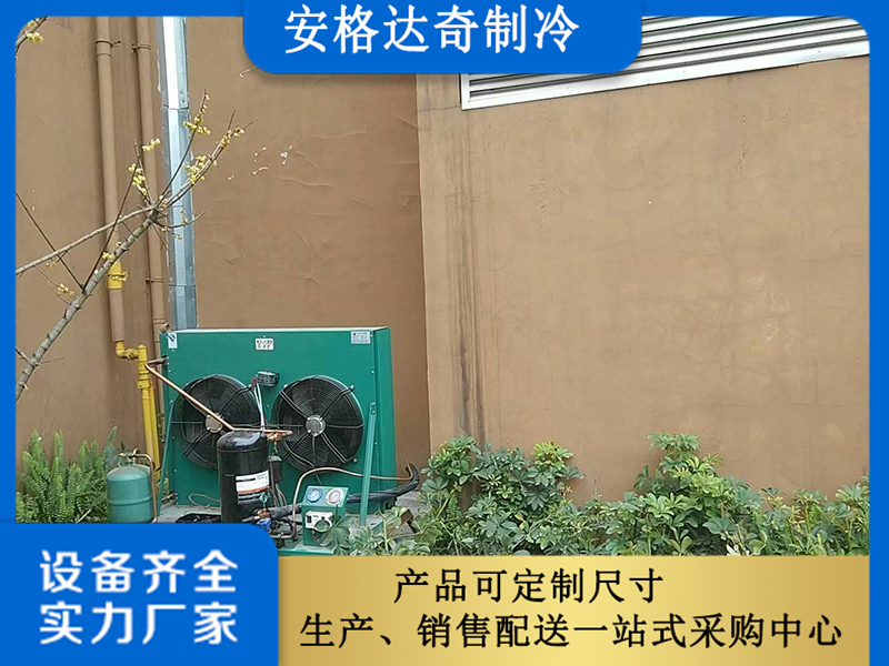 冷库冷冻库建造-3