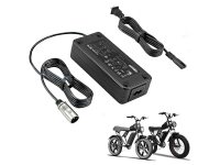 54.6VChargerforRidstarQ20Series