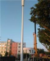 八角灯塔型-内爬式景观塔