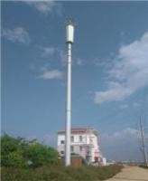 花瓣型-内爬式景观塔