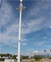 集束型-内爬式景观塔