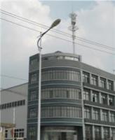 楼顶双轮型景观塔