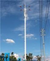 绿化带路灯塔-花瓣型