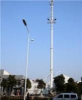 绿化带路灯塔-集束灯塔型