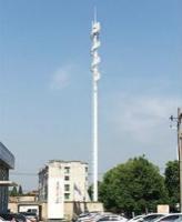 飘带型-内爬式景观塔