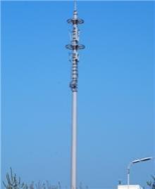 双轮-内爬式景观塔