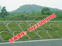 20150213103005-1128239736