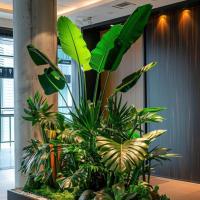 0室内植物展呈-1-