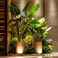 0室内植物展呈-2-