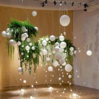 0室内植物展呈-3-