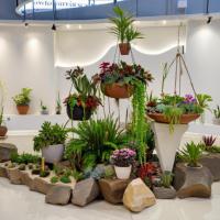 0室内植物展呈-4-