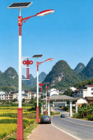 RS-01303