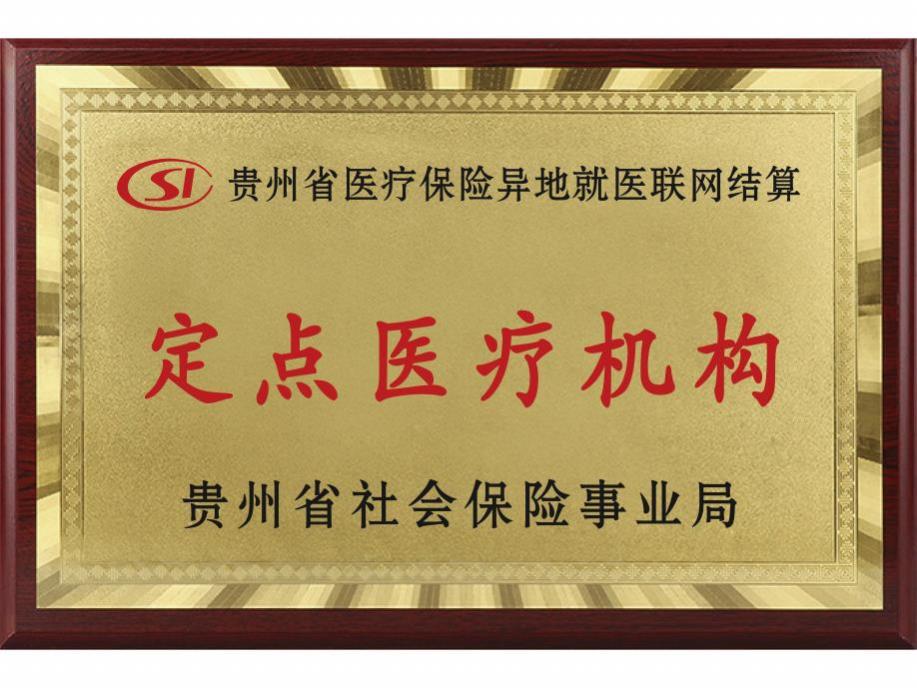 定点医疗机构--