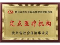 定点医疗机构--
