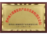 贵州省大健康医药产业示范基地