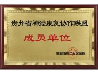 神经康复协作联盟_画板1