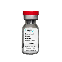 FGF10