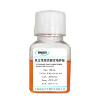 鼠肺-100