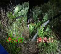 案例-4