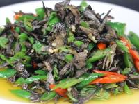 青椒干巴菌