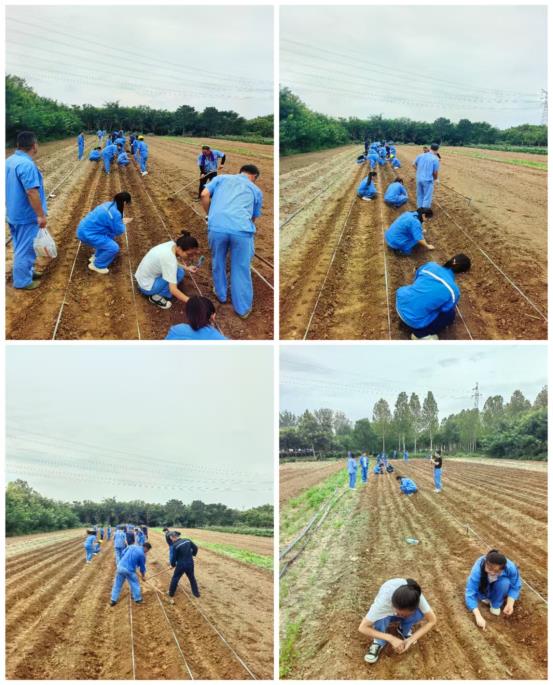 2ed37ae1b26860318f3c7fad6dff3d1