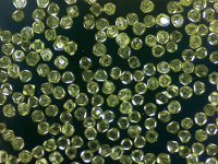 WX20241025-160956@2x