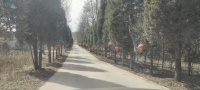微信图片_20250406222708