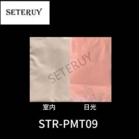 STR-PMT09