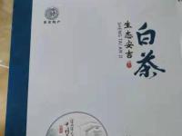 安吉白茶礼盒装3
