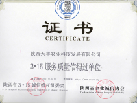 image-20241108084742-1