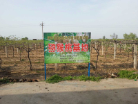 image-20241108084947-1
