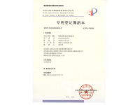 image-20241108085001-1