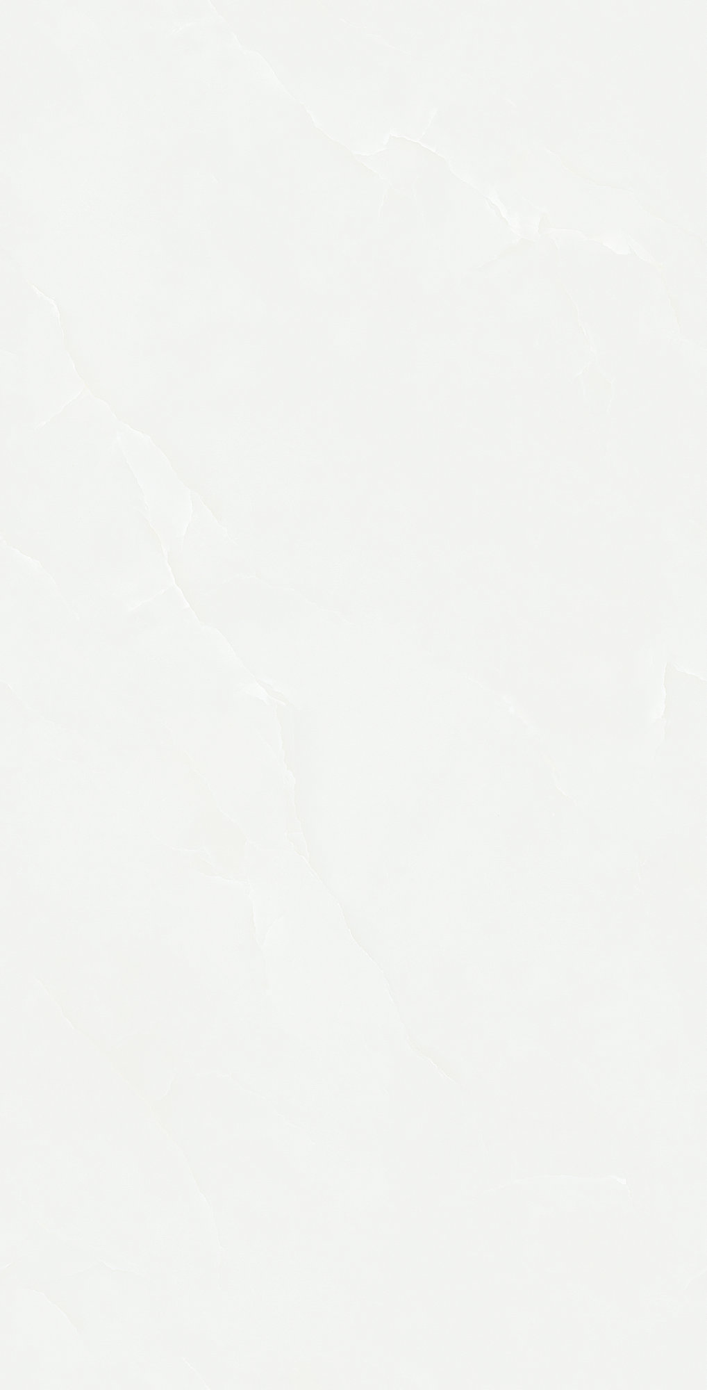 15771_11