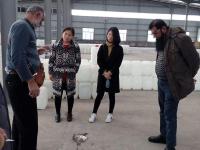 迪拜客户