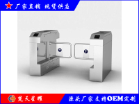 摆闸-桥式摆闸