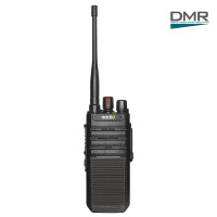 DP550