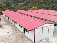 image-20241204085030-1